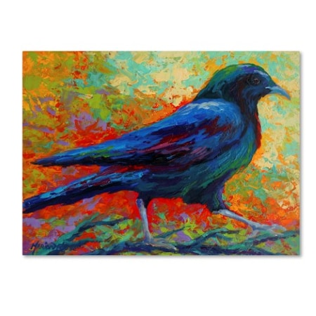 Marion Rose 'Crow 15' Canvas Art,35x47